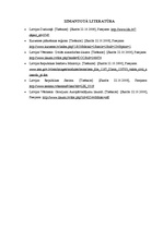 Referāts 'Dzelzceļa katastrofas apraksts pilsētā N', 9.