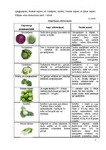 Referāts 'Kāpostu ēdieni', 5.