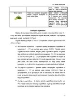 Referāts 'Kāpostu ēdieni', 6.