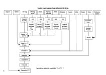 Referāts 'Kāpostu ēdieni', 18.