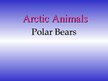 Prezentācija 'Arctic Animals - Polar Bears', 1.