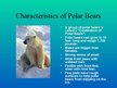 Prezentācija 'Arctic Animals - Polar Bears', 2.