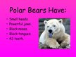 Prezentācija 'Arctic Animals - Polar Bears', 3.