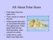 Prezentācija 'Arctic Animals - Polar Bears', 4.