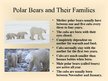 Prezentācija 'Arctic Animals - Polar Bears', 6.