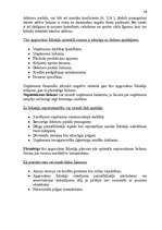 Referāts 'Uzņēmuma finanšu analīze', 16.