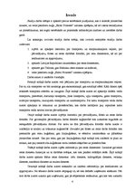 Referāts 'Pasažieru kuģa "Baltic Princess" izmaksu aprēķins', 4.