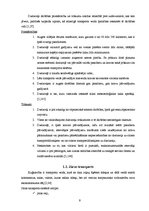 Referāts 'Pasažieru kuģa "Baltic Princess" izmaksu aprēķins', 9.