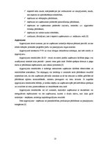 Referāts 'Pasažieru kuģa "Baltic Princess" izmaksu aprēķins', 20.