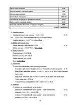 Referāts 'Pasažieru kuģa "Baltic Princess" izmaksu aprēķins', 29.