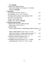 Referāts 'Pasažieru kuģa "Baltic Princess" izmaksu aprēķins', 30.