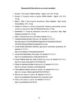 Referāts 'Pasažieru kuģa "Baltic Princess" izmaksu aprēķins', 33.