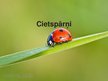 Prezentācija 'Cietspārņi', 1.