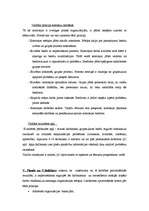 Konspekts 'Darba grupu izmantošana ', 3.