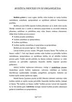 Referāts 'Budžeta ieņēmumi un izdevumi', 9.