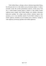 Referāts 'Budžeta ieņēmumi un izdevumi', 11.