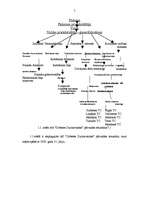 Referāts 'A/s "Dobeles Dzirnavnieks" finansiālā stāvokļa analīze', 7.