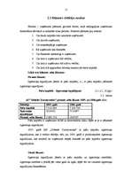 Referāts 'A/s "Dobeles Dzirnavnieks" finansiālā stāvokļa analīze', 12.