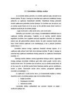 Referāts 'A/s "Dobeles Dzirnavnieks" finansiālā stāvokļa analīze', 15.