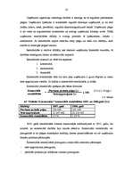 Referāts 'A/s "Dobeles Dzirnavnieks" finansiālā stāvokļa analīze', 20.