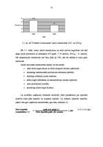 Referāts 'A/s "Dobeles Dzirnavnieks" finansiālā stāvokļa analīze', 22.