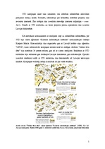 Referāts 'Sabiedrības informēšanas kampaņas "Trešais tēva dēls" analīze', 5.