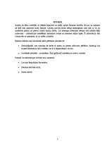 Eseja 'Lietu izskatīšanas kārtība Saeimā', 3.