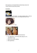 Konspekts 'Olbaltumvielu denaturācija', 2.