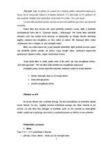 Referāts 'Roku higiēna kā skolēnu aizsardzības veids no slimībām', 7.