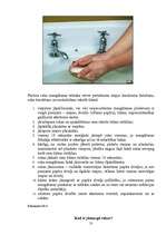 Referāts 'Roku higiēna kā skolēnu aizsardzības veids no slimībām', 13.