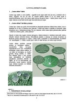 Referāts 'Biomīmikrijas piemērs. Lotosa efekts - virsma ar "nanodaļiņām"', 4.