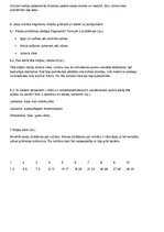 Konspekts 'Romāns "Sōla"', 2.