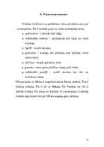 Referāts 'Vulkāns', 12.