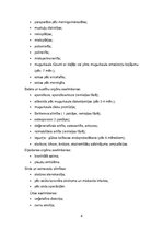 Referāts 'Reitterapija', 8.