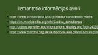 Prezentācija 'Kanādas elodeja', 11.