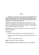 Referāts 'Kurš modelis labāks - Volkswagen Golf 2 vai Volkswagen Golf 3', 3.