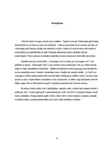 Referāts 'Kurš modelis labāks - Volkswagen Golf 2 vai Volkswagen Golf 3', 20.