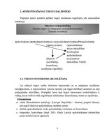 Referāts 'Apdrošināšanas sabiedrības, to darbības veidi', 6.