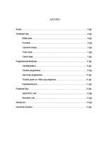 Referāts 'Dators māksliniekam - izvēles kritēriji, iespējas', 2.