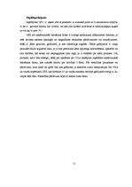 Referāts 'Dators māksliniekam - izvēles kritēriji, iespējas', 11.