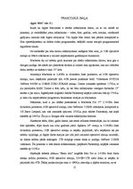 Referāts 'Dators māksliniekam - izvēles kritēriji, iespējas', 12.