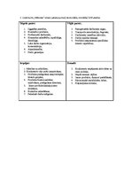 Paraugs 'SVID analīze', 2.