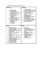 Paraugs 'SVID analīze', 3.