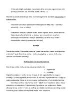 Konspekts 'Medicīniskā parazitoloģija', 2.