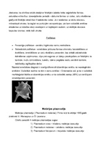 Konspekts 'Medicīniskā parazitoloģija', 4.