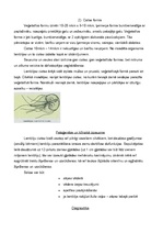 Konspekts 'Medicīniskā parazitoloģija', 8.