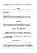 Konspekts 'Medicīniskā parazitoloģija', 9.