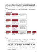 Referāts 'Nodokļu likumdošanas process un ar to saistītā problemātika', 5.