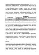 Referāts 'Nodokļu likumdošanas process un ar to saistītā problemātika', 22.