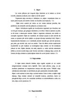 Diplomdarbs 'Muguras sāpes', 5.